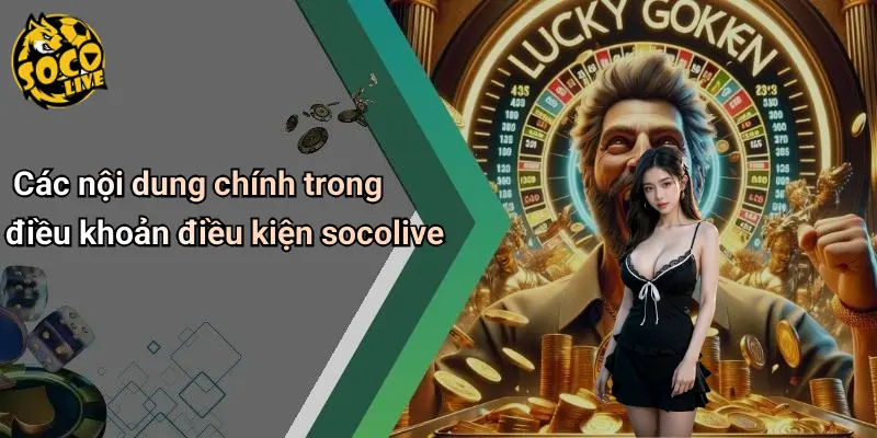 Điều Khoản Điều Kiện