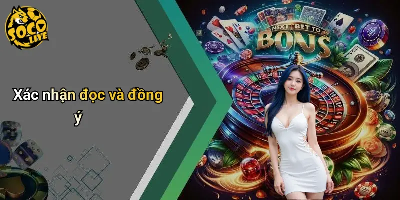 Điều Khoản Điều Kiện