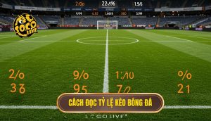 Cách đọc tỷ lệ kèo bóng đá
