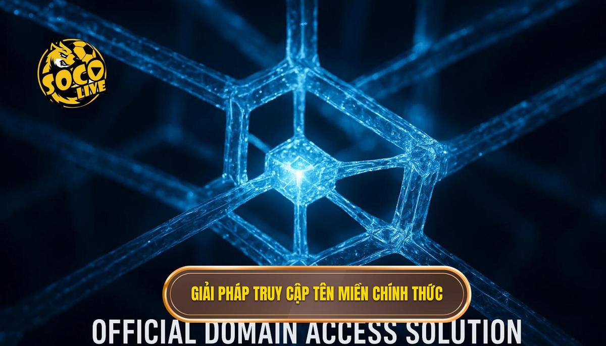 Giải pháp truy cập thông qua tên miền chính thức tại shubrookbros.com