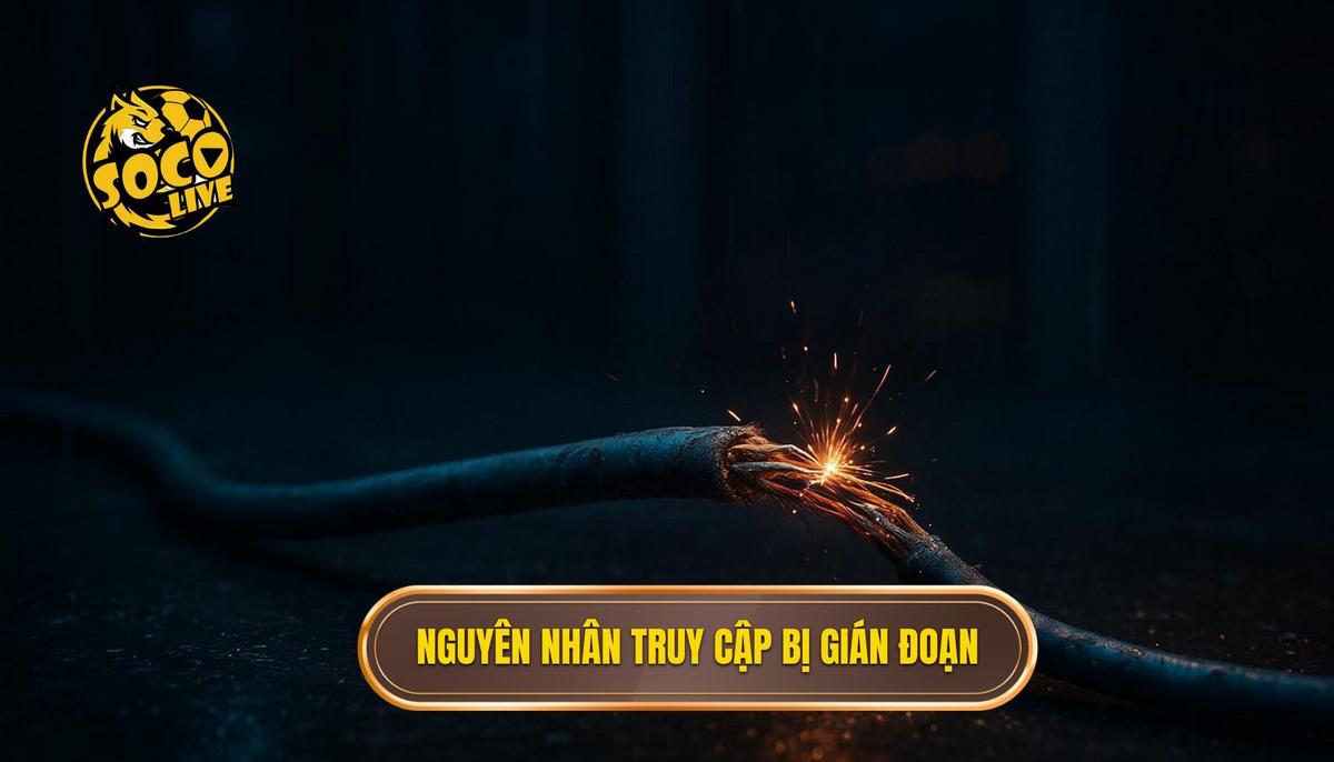 Nguyên nhân dẫn đến tình trạng truy cập bị gián đoạn