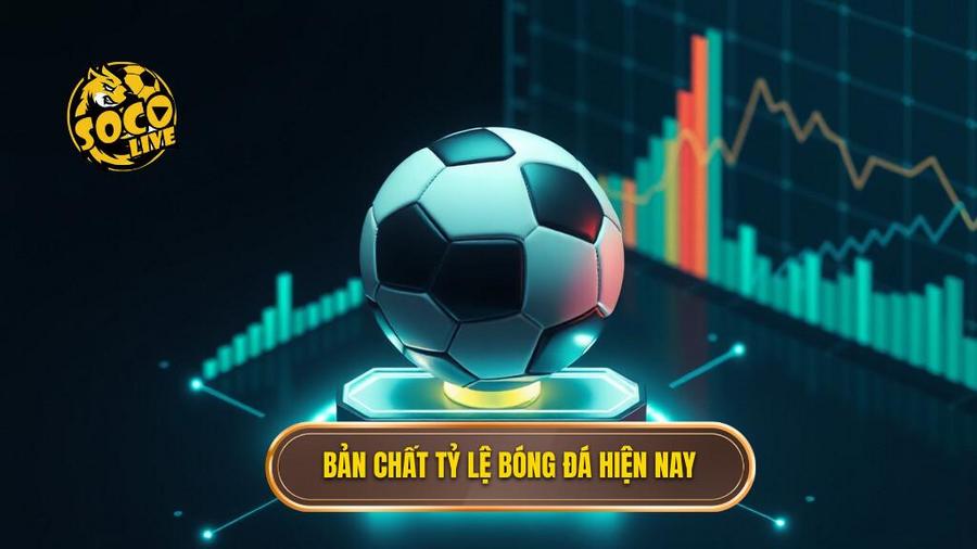 Bản chất tỷ lệ bóng đá hiện nay