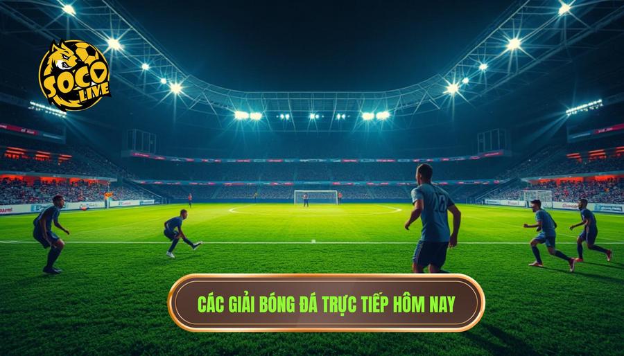 Link xem bóng đá trực tiếp hôm nay - Trải nghiệm bóng đá đỉnh cao tại SOCOLIVE 3 Những giải đấu hấp dẫn không thể bỏ lỡ tại link xem bóng đá trực tiếp hôm nay