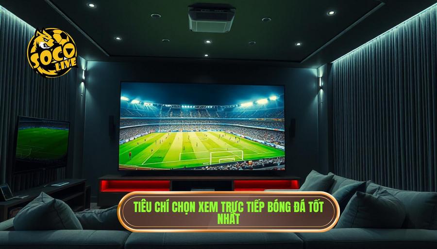 Xem trực tiếp bóng đá ở đâu tốt nhất? Đánh giá chi tiết các nền tảng hàng đầu hiện nay 3 Các tiêu chí đánh giá xem trực tiếp bóng đá ở đâu tốt nhất