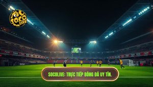 Trực tiếp bóng đá Việt Nam hôm nay